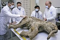 Кладоискатель нашел древнюю золотую монету после шести лет неудач