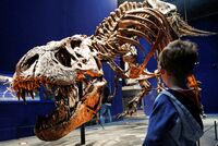 Кладоискатель нашел древнюю золотую монету после шести лет неудач