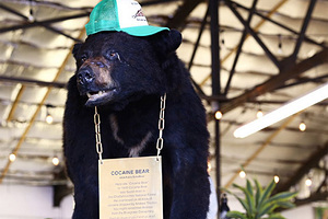 Корабль-призрак нашли на берегу другой страны после загадочного исчезновения владельца