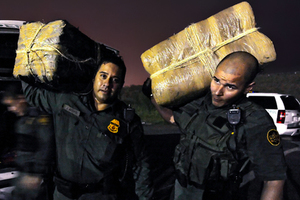 На популярном курорте США в сточных водах нашли высокий уровень кокаина