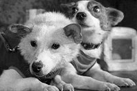 На Землю обрушилась магнитная буря