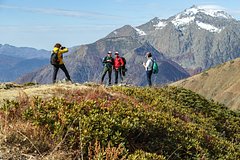 Названы три любимых направления для отдыха россиян этим летом