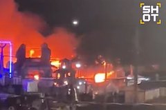 Нескольких крокодилов смогли спасти после пожара в российском дельфинарии