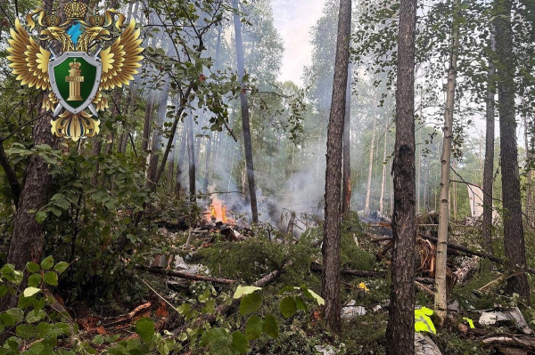 &laquo;Низко земл&hellip;&raquo; Раскрыта последняя фраза, зафиксированная перед крушением пассажирского самолета Ан-24 в Приамурье