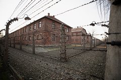 Пьяные туристы из Финляндии ворвались в музей и оскорбили память жертв Освенцима