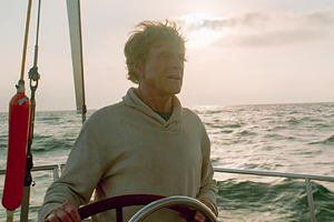 Появились подробности о ситуации с нашествием акул в Египте