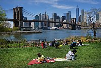 Россиянин описал брак двух русскоязычных людей в США словами &laquo;незавидная участь&raquo;