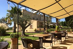 Россиянка описала впечатления от похожего на дачу отеля в Турции фразой &laquo;от вау до ужаса&raquo;