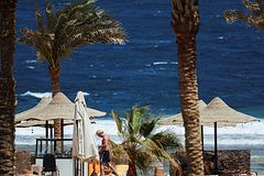 Российские туристы прошедшим летом массово устремились на отдых в три страны Африки