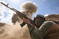 В Германии усомнились в остановке Украиной боевых действий