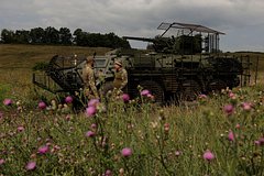 В Германии усомнились в остановке Украиной боевых действий