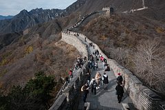 В России предрекли резкий рост популярности одного туристического направления