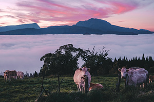 Российские туристы застряли на Мадагаскаре из-за протестов против президента