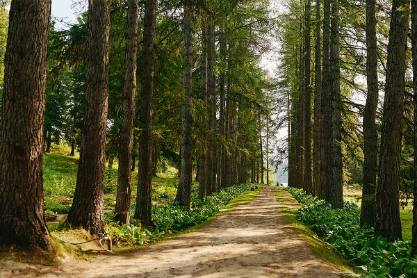 Север помнит. Почему поездка на Соловецкие острова может стать одной из самых незабываемых в жизни?