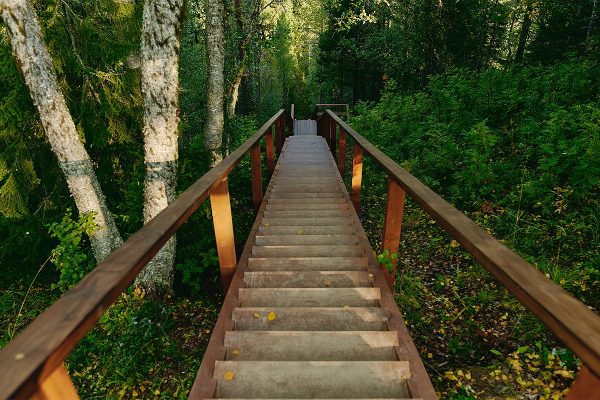 Север помнит. Почему поездка на Соловецкие острова может стать одной из самых незабываемых в жизни?