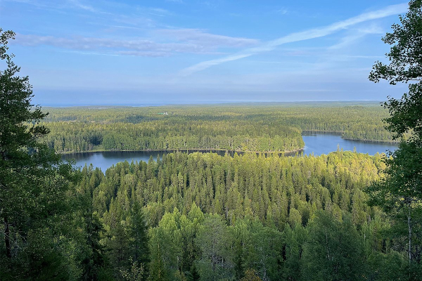 Север помнит. Почему поездка на Соловецкие острова может стать одной из самых незабываемых в жизни?