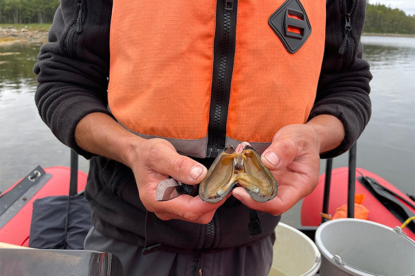 Север помнит. Почему поездка на Соловецкие острова может стать одной из самых незабываемых в жизни?