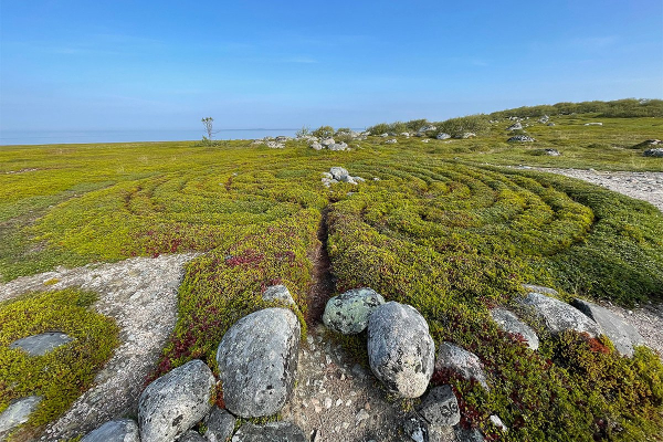 Север помнит. Почему поездка на Соловецкие острова может стать одной из самых незабываемых в жизни?