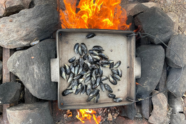 Север помнит. Почему поездка на Соловецкие острова может стать одной из самых незабываемых в жизни?