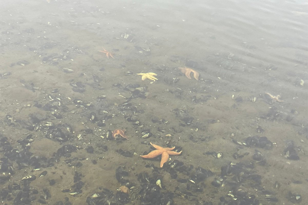 Север помнит. Почему поездка на Соловецкие острова может стать одной из самых незабываемых в жизни?